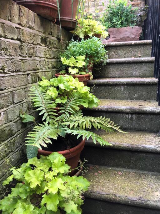 Kings Cross, Self-Contained House & Private Garden Villa Londra Dış mekan fotoğraf