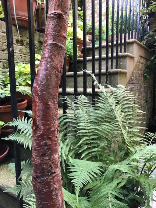 Kings Cross, Self-Contained House & Private Garden Villa Londra Dış mekan fotoğraf
